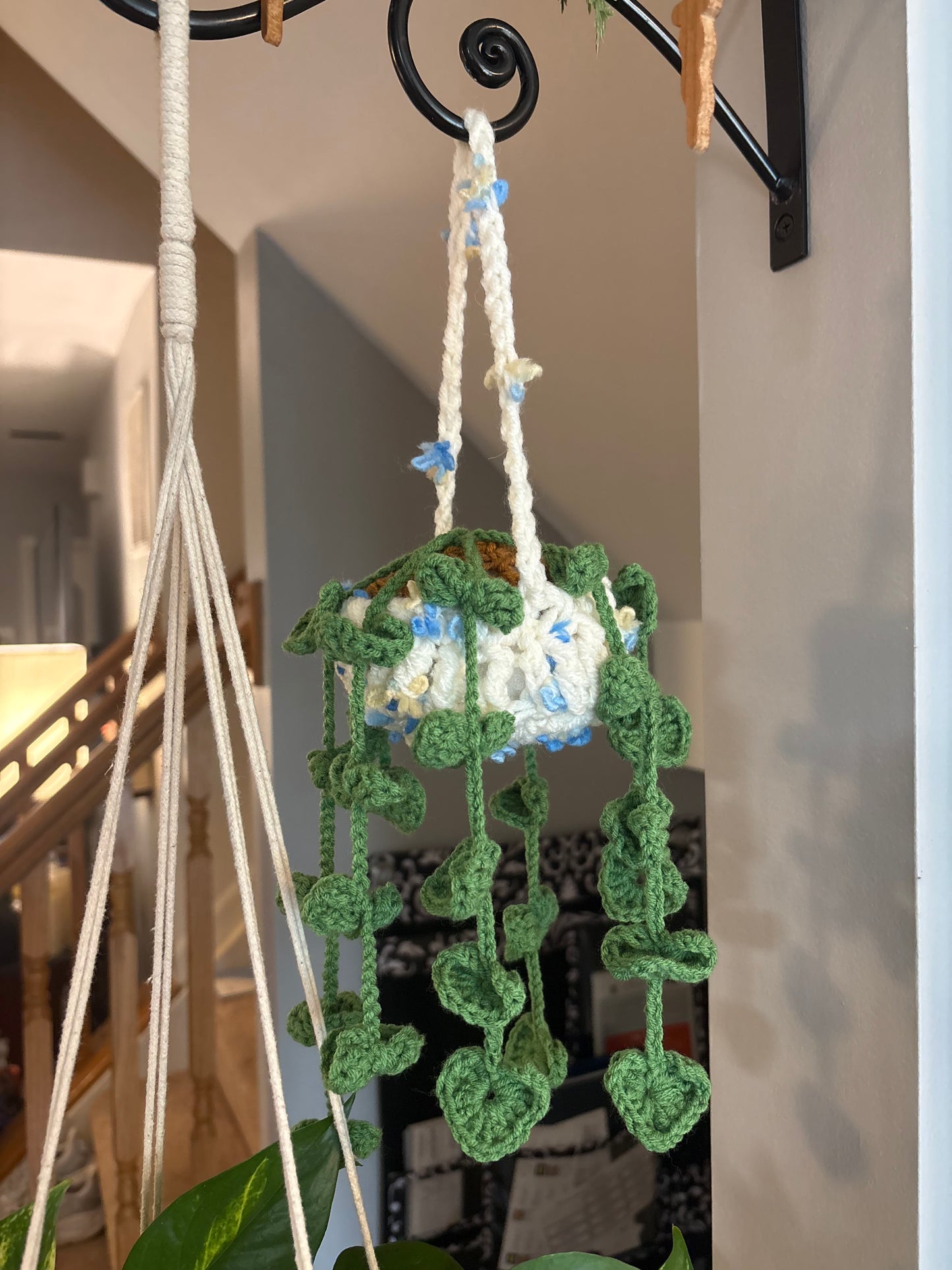Crocheted Hanging Potted Plant