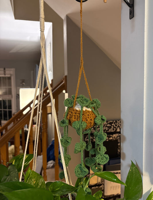 Crocheted Hanging Flower Basket