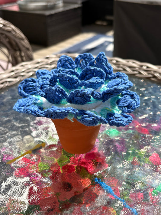 Set of 2 Crocheted Flower Coasters and Pot Holder