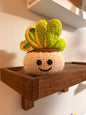 Crocheted Succulent Plush