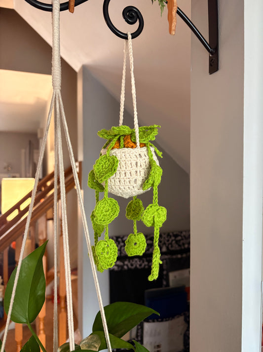 Crocheted Hanging Flower Basket