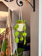 Crocheted Hanging Flower Basket