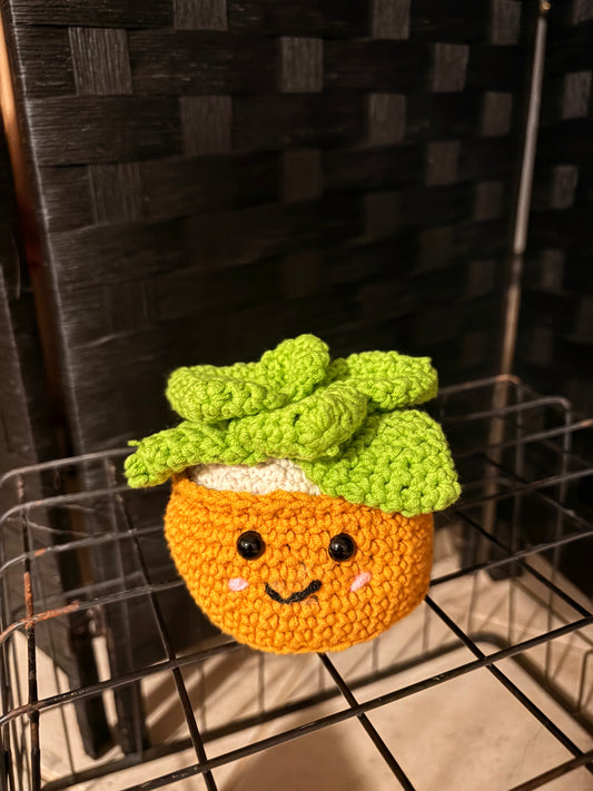 Crocheted Succulent Plush